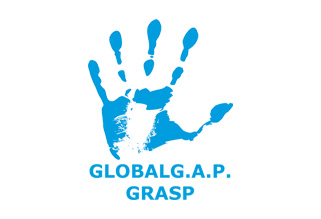 grasp-logo