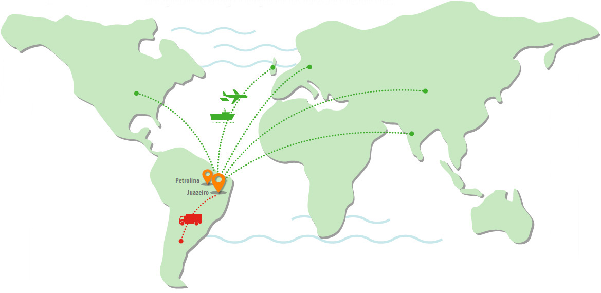 img-logistica-mobile